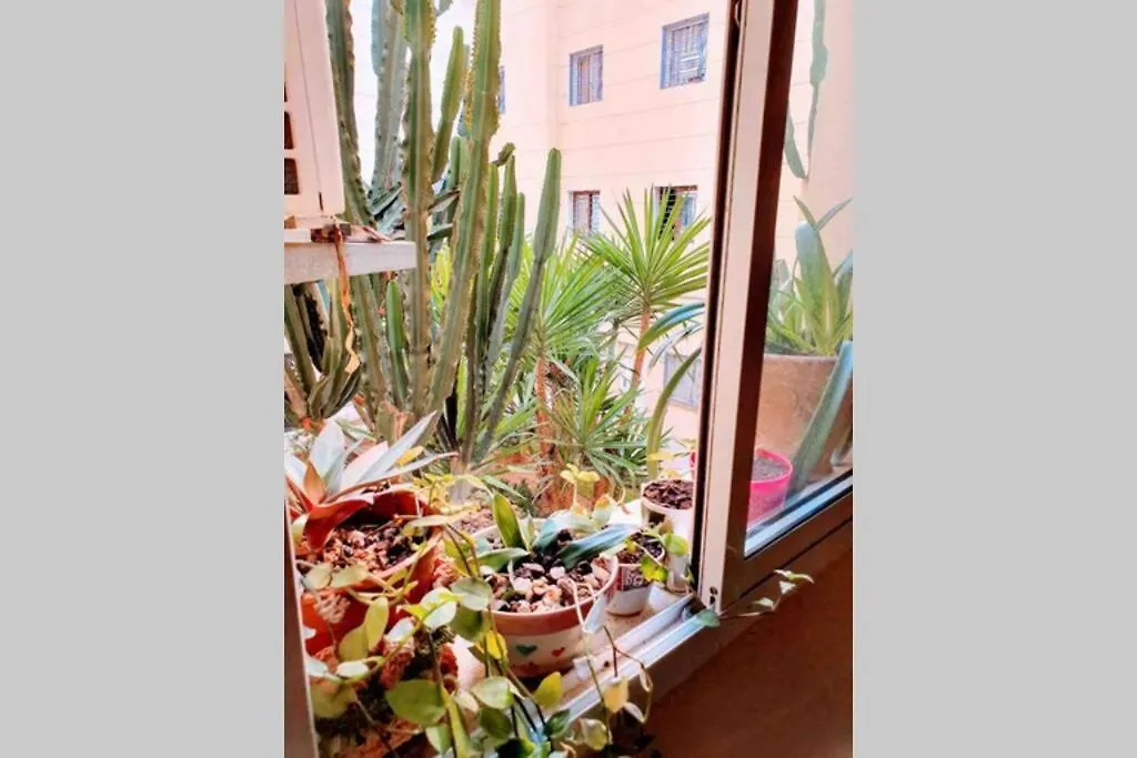 Ouasis En Plein Centre Ville Agadir 0*,